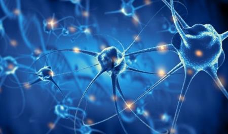 'Logic tuần hoàn' của RNA trong bệnh Parkinson