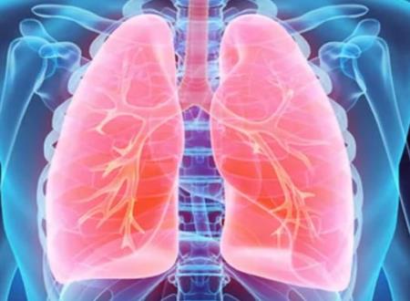 Các nhà khoa học điều khiển thành công robot xuyên qua mô phổi