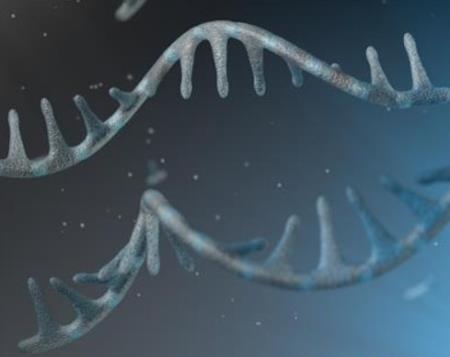 Làm thế nào một chuỗi micro RNA là chìa khóa để chống lại bệnh ung thư