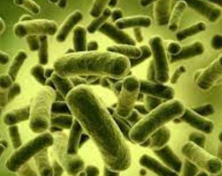 Các tế bào miễn dịch đường ruột chuyên biệt được xác định có thể hạn chế sự tiến triển của bệnh viêm ruột