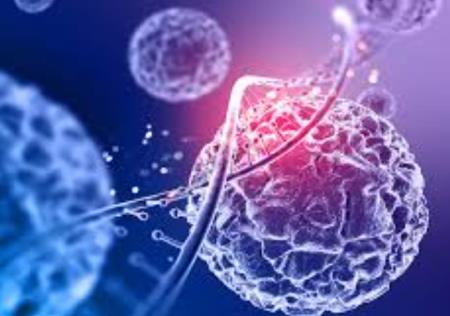 Các nhà nghiên cứu phát triển cách mới để nhắm mục tiêu các tế bào ung thư