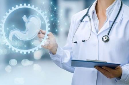 Chất xơ chitin từ côn trùng, nấm thúc đẩy tiêu hóa giúp chống béo phì