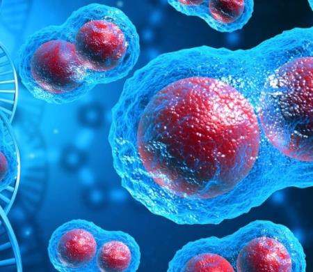 Hợp chất mới giải phóng hệ thống miễn dịch trên di căn