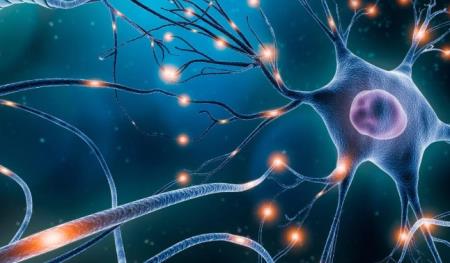 Làm rõ nguyên nhân hội chứng Guillain-Barre