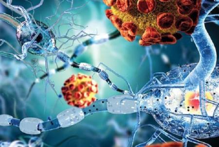 Tái tạo hệ thống miễn dịch để chống lại bệnh lao