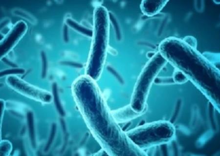 Những hiểu biết mới về cách Salmonella gây nhiễm trùng