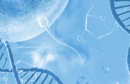 Protein tuyến trùng làm sáng tỏ vấn đề vô sinh