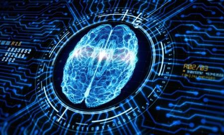 Nghiên cứu về bản chất của trí nhớ cho thấy các tế bào lưu trữ thông tin như thế nào