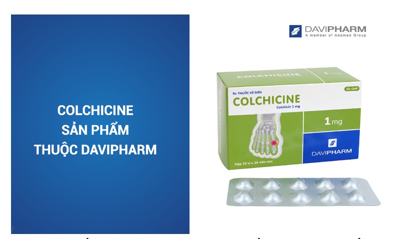Thuốc Colchicine dự phòng và điều trị cơn gút cấp 