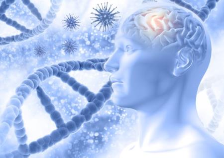 Ô nhiễm không khí liên quan đến nhiều dấu hiệu bệnh Alzheimer trong não