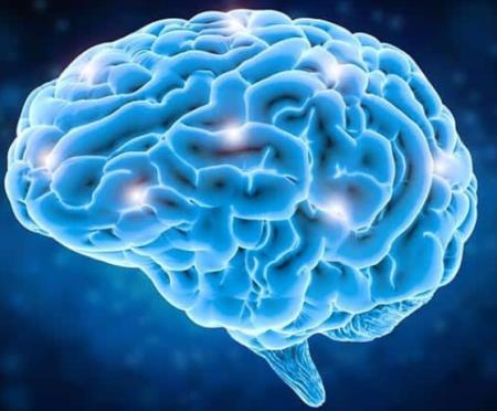 Các nhà nghiên cứu in 3D mô não người