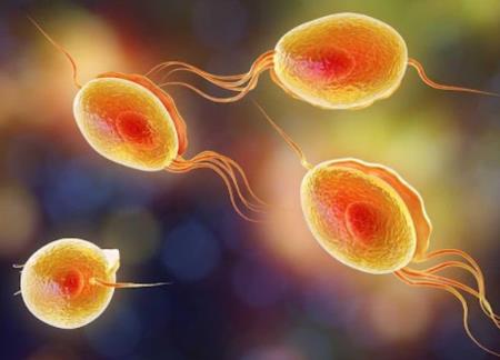 Chất mang protein tín hiệu nội mô mở ra hướng điều trị các bệnh viêm nhiễm khác nhau