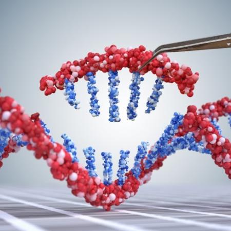 Phát hiện gen có thể bảo vệ chống lại bệnh cơ nghiêm trọng