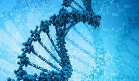 Tiết lộ nguồn gốc tiến hóa của việc in dấu gen