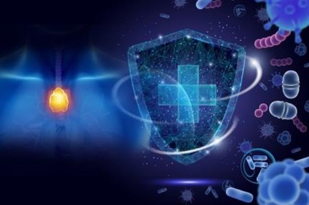 “Công tắc” giúp hệ miễn dịch không tấn công cơ thể
