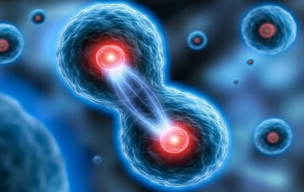 Các nhà nghiên cứu tạo ra các tế bào nhân tạo hoạt động như tế bào sống