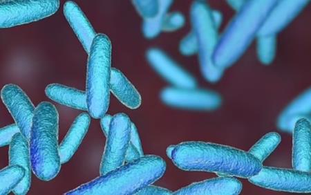 Liệu pháp tiêu diệt vi khuẩn siêu độc Klebsiella pneumoniae