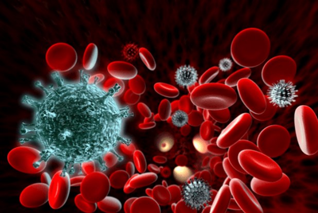 Nanobody Llama: Một bước đột phá trong việc xây dựng khả năng miễn dịch HIV