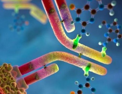 Kháng thể tự miễn gây ra nguy cơ nhiễm virus suốt đời