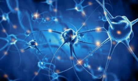 Thuốc Crexont điều trị bệnh Parkinson