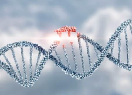 Các nhà khoa học vừa làm cho việc chỉnh sửa gen mạnh mẽ hơn nhiều