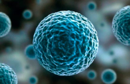 Tìm ra những trung tâm sức mạnh tiềm ẩn của bệnh ung thư và học cách tiêu diệt chúng