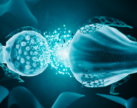 Làm thế nào để loại bỏ protein tau độc hại có thể dẫn đến bệnh Alzheimer và các bệnh liên quan