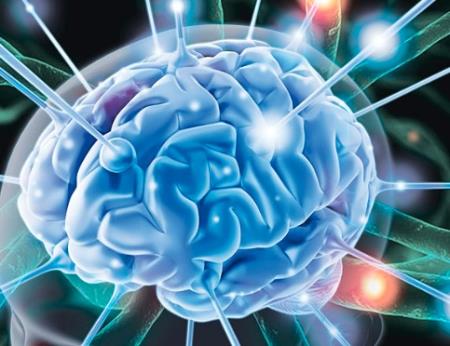 Đột phá đảo ngược quá trình lão hóa não và mất trí nhớ