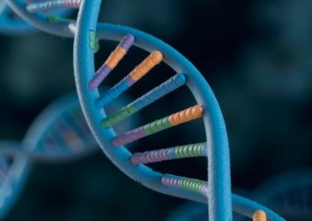 CRISPR phát hiện ra gen tăng cường vitamin D và ngăn chặn khối u ngay tại chỗ