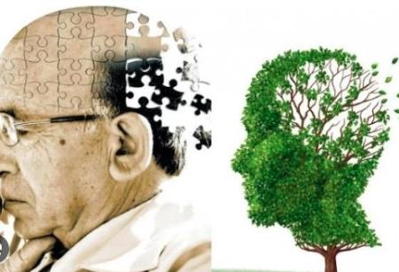 Mũi của bạn có thể phát hiện bệnh Alzheimer nhiều năm trước khi mất trí nhớ