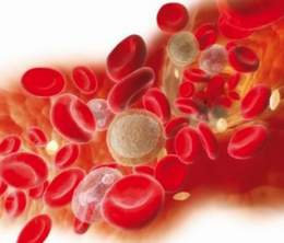 Bạch cầu thông minh - Phương thức mới chữa trị các bệnh nan y
