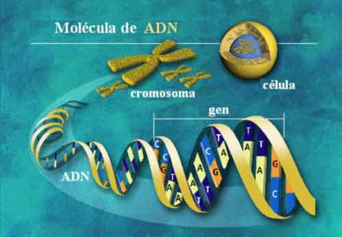 Phát hiện hợp chất mới giúp ngừa ung thư