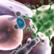 Bệnh do prion: Bí hiểm và đáng sợ hơn cả AIDS
