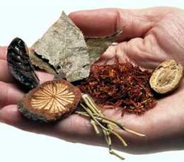 Lưu ý khi dùng Đông dược