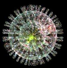 Virut herpes làm tăng nguy cơ mắc Alzheimer