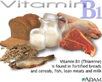 Công dụng của từng loại “sinh tố B”